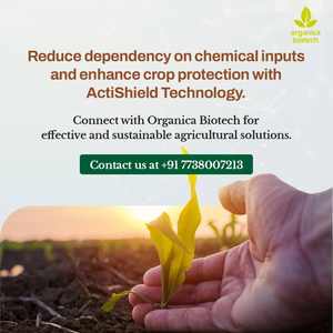 Traitement antifongique des plantes - Product Image 6