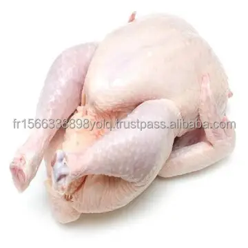 Acheter HALAL CONGELÉ POULET ENTIER À VENDRE