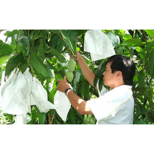 Bolsa de plástico PP ecológica reutilizable, cubierta de racimo de frutas no tejida para plátano, tomate, protección de jardín de invierno - Product Image 6