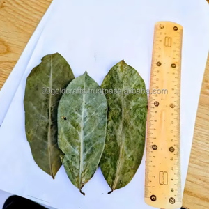 ทุเรียนเทศแห้งสมุนไพรกราวิโอลา100% แสงอาทิตย์บริสุทธิ์ส่งตรงจากเวียดนาม99 GD - Product Image 1