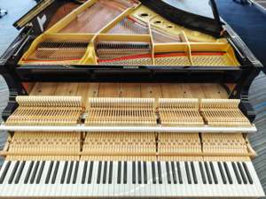 Piano à queue Yamaha G1B 88 touches en bois massif, design classique avec un son acoustique riche pour la scène et le studio, haute performance - Product Image 5