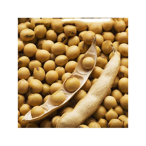 Soja Alemana Orgánica de Primera Calidad, 100% Sin OMG, Seca a Granel a Precio de Mayoreo, 25 KG/CTNS, 2 Años de Vida Útil, 50% de Proteína - Product Image 6