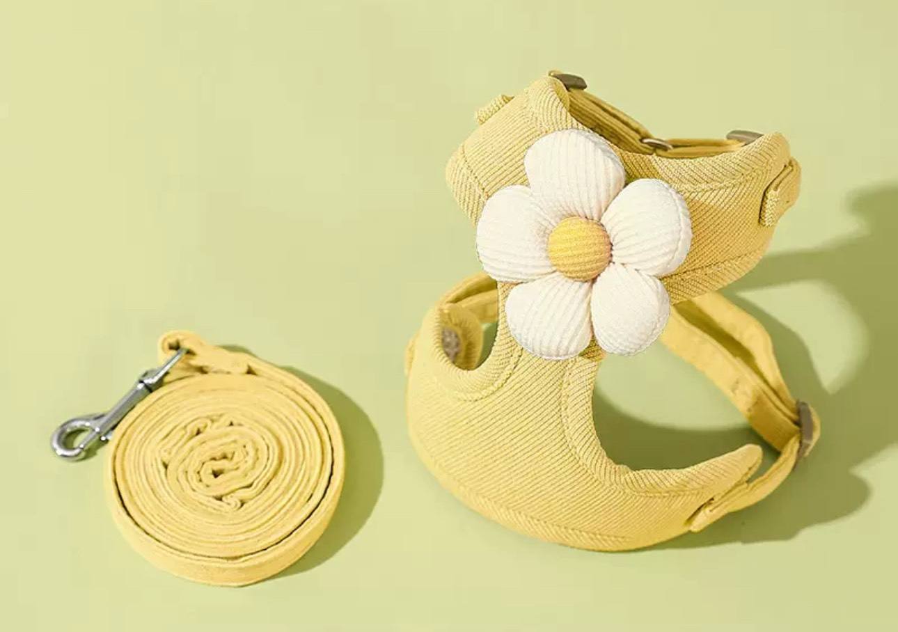 สีเหลือง