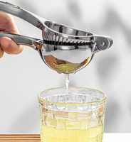 Presse-agrumes manuel multifonctionnel en métal écologique de style moderne pour fruits et légumes, outil de pressage portable pour la maison
