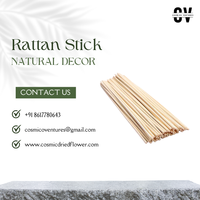 Bâton de rotin en bambou 100% naturel écologique pour fleurs séchées de plantes de jardin