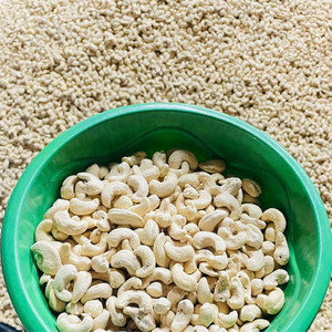 เม็ดมะม่วงหิมพานต์อบแห้งแบบไม่ใช้ W320 W180 W240 - Product Image 1