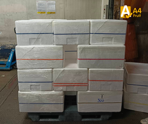 Bestseller orgánico tailandés dulce Durian Premium Monthong fruta fresca cremosa Bangkok Tailandia exportación en todo el mundo verano más barato - Product Image 5