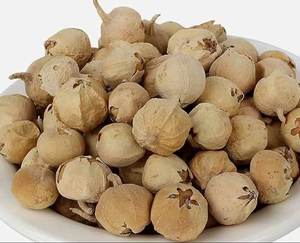 Paneer Dodi de Primera Calidad, Paneer Indio con Coagulante, Withania Coagulans, Hierba para Diabéticos, PANEER PHOOL - Product Image 3