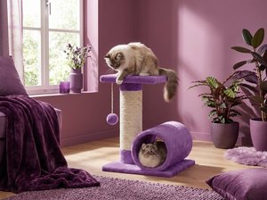High-quality <b>scratching</b> post "Murlika Play Tower" <b>Cat</b> <b>Scratching</b> for <b>cats</b> and kittens of all breeds and sizes - Product Image 2