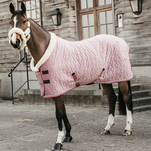 Alfombras de caballo impermeable cuello de cobertura total Azul estable 1200d poliéster alfombra de caballo de invierno - Product Image 3