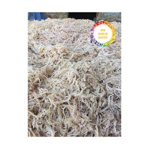 ALGODÓN SECADO AL SOL MATERIAL NATURAL DE ALGAS MARINAS DE VIETNAM EL INGRIDIENTE FRESCO PARA COCINAR CON ALTA CALIDAD - Product Image 2