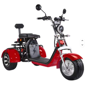 Triciclo Eléctrico Shan su C P 3 60V/40Ah 2000W, Velocidad de 25 mph, Capacidad de Carga de 440 lb, Frenos de Disco Hidráulicos - Product Image 2