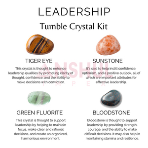 Proveedor indio de juego de piedras preciosas naturales de calidad estándar Potencie sus cualidades de liderazgo Kit de cristales de intención de liderazgo - Product Image 6