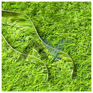 Rasoir courbé OEM Barber Dominican en acier inoxydable léger, rasoir non droit, lame remplaçable, rasoir de style dominicain - Product Image 6