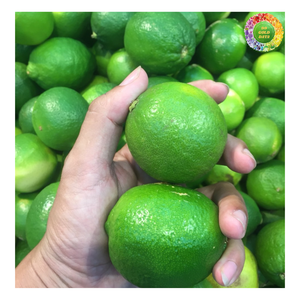 Citron vert frais sans pépins naturel, agrumes verts frais cueillis à la main pour le jus, la garniture, citron vert frais sans pépins au meilleur prix, citron vert - Product Image 6