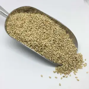 Manufacturer Wholesale Distribution Supply and Marketing Hulled Sesame Seeds