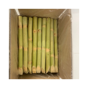 ถุงสูญญากาศอ้อยแช่แข็งแบบสดแช่แข็งสำหรับเครื่องดื่ม - Product Image 1