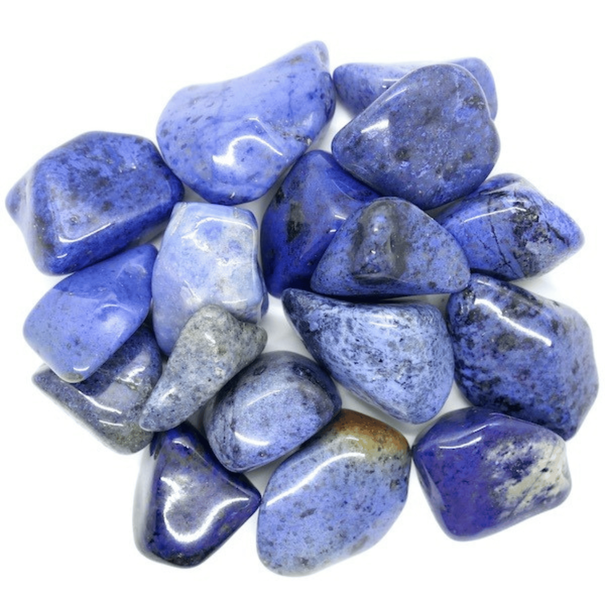 ตามที่แสดง