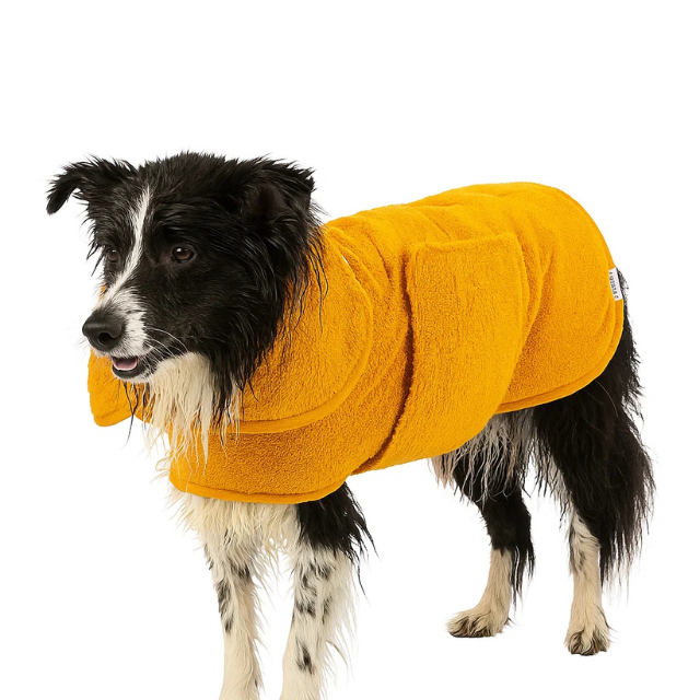 สีเหลือง