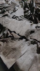 Hot Deal ใบกล้วยแห้งจากเวียดนามขายส่งผลิตภัณฑ์การเกษตรราคาดีที่สุด - Product Image 2