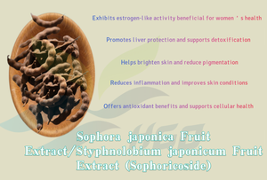 HGO Suministro directo de fábrica Extracto de fruta Sophora japonica/Extracto de fruta Styphnolobium japonicum-Sophoricoside 10% - 98% - Product Image 3