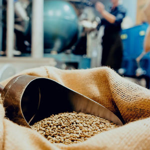 Café vert Robusta certifié USDA Organic, taille 18, Vietnam, qualité A+, certifié ISO 22000, export direct d'usine uniquement, 0,1% de caféine. - Product Image 1