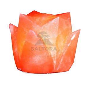 Lampe à sel 100% naturel en nouveau stock lampe à sel en forme de fleur meilleur prix lampe à sel en forme de fleur pour sel - Product Image 6