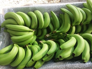 100% Fresh Banana Sunset Glow: un délice doux et mûr qui capture l'essence des soirées tropicales dans chaque bouchée lisse et savoureuse - Product Image 2