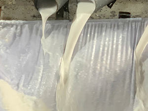 Leche de Coco Vietnamita de Marca Privada/Al Por Mayor, Fabricante de Leche de Coco con Sabor a Fruta - Muestra Gratuita OEM/ODM - Product Image 5