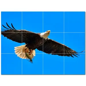 Carreau de céramique mural oiseau de 48 \ "x 36 \" PT500156 Lot de 12 carreaux 12x12 - Product Image 1