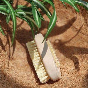 Naturaedonum Brosse à ongles double face naturelle avec poils de cactus pour le soin des mains exfoliant et les coins ronds - Product Image 3
