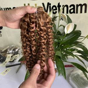 Extensiones de cabello Natural virgen vietnamita, extensiones de cabello humano con cutícula alineada, muestra gratis, venta al por mayor - Product Image 5