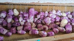Trozos de ñame morado congelado de Vietnam, rebanadas IQF, grado de exportación, ñame dulce directo de fábrica de Vietnam, venta al por mayor OEM listo - Product Image 4