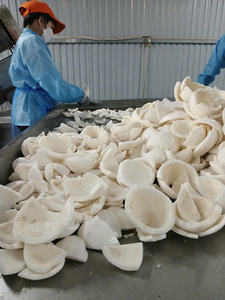 Tipo IQF Cocos congelados Venta al por mayor Cocos enteros maduros con sabor dulce Semi cáscara Embalaje a granel - Product Image 6