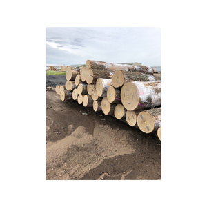 Factory-direct White and Red Oak <b>Logs</b> with strong durability and rich grain - Product Image 1