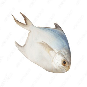 Compra pescado helado barato online - Product Image 4