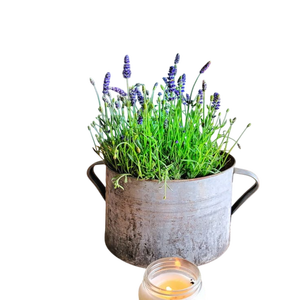 Galvanized metal <b>Planters</b> <b>zinc</b> <b>planter</b> flower vases for Outdoor & indoor Decoration for Trendy Look at Home and Restaurant - Product Image 3