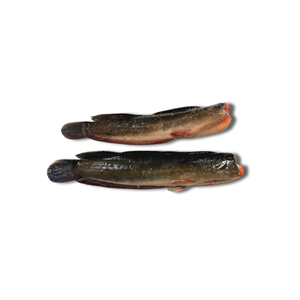Poisson-chat entier congelé IQF Vietnam emballage sous vide fruits de mer en vrac - Product Image 4