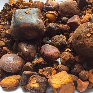 Polvo de Gallstone de Buey de Alta Calidad y Bajo Precio, Proveniente de Ganado, en Venta - Product Image 2