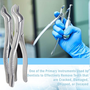 Forceps de racine d'extraction dentaire manuelle de haute qualité 150 Incisives supérieures Dents Instruments chirurgicaux réutilisables - Product Image 3