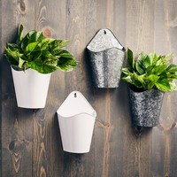 Jardinières murales haut de gamme avec un élégant cadre en fer offrant un style de jardinage vertical moderne et de l'espace pour une utilisation en intérieur et en extérieur
