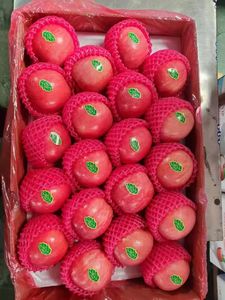 Mele Fuji Rosse Biologiche Dolci e Fresche dalla Cina, Prezzo all'Ingrosso, Nuovo Raccolto di Frutta e Verdura Succosa - Product Image 4