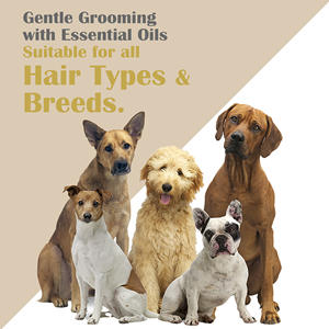 Hot Deal OEM/ODM Pet Care Paw Balm suaviza, hidrata, repara las patas agrietadas disponible para la etiqueta privada a precio al por mayor - Product Image 5