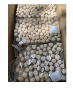 Buen precio indestructible perro masticar perro café madera perro masticar mascotas en casa relajarse café madera calidad de lujo - Product Image 4