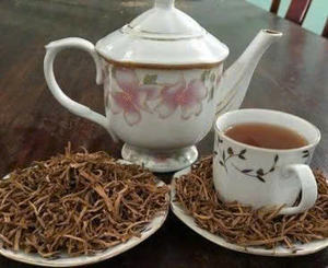 Notre soursop séché répond aux normes d'exportation, adapté à tous les marchés exigeants - Product Image 3