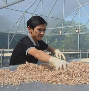 ¿Busca un proveedor fiable de Guanábana seca? Vietnam es su destino - Product Image 5