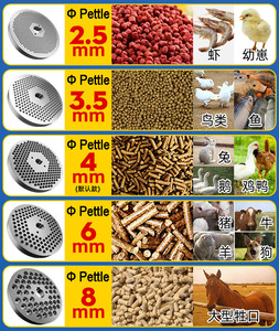 Machine à granulés multifonctionnelle pour animaux, volaille, sortie 120-150 kg/h - Product Image 3