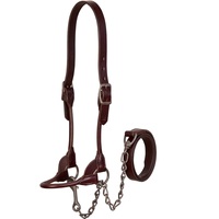 Humoristique Joxar — licou d'équitation, en cuir, châtain, montre pour animaux de compagnie