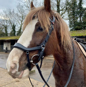 Bride de nez flash anatomique Bride de tête Bride de nez BREVET Bride de cheval en cuir véritable de haute qualité Vente en gros personnalisée - Product Image 6