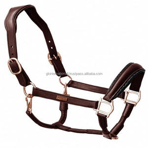 แผ่นชื่อส่วนบุคคลออกแบบทางกายวิภาค havana เชือกแขวนคอหนังม้าสีน้ำตาลหัวเข็มขัดทองเหลืองแข็งและแหวน - Product Image 3